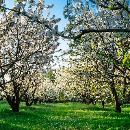 Monferrato 3* Rivarone