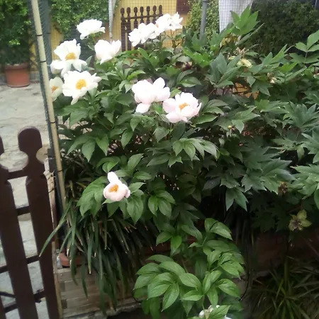 Couette-café Monferrato