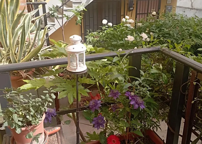 Monferrato Rivarone